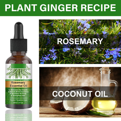 Organic Rosemary Hair Oil